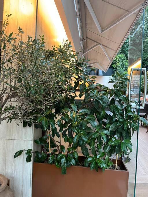 Ksenokratous-Kolonaki Cozy Apartment Athena Bagian luar foto